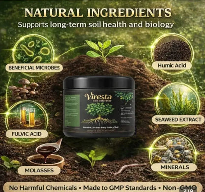 REVITALIZADOR DE SUELO CON ÁCIDO HÚMICO — CRECIMIENTO INTENSIVO PARA PLANTAS Y JARDÍN
